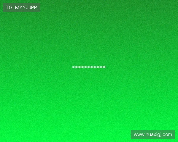 加拉塔萨雷将米兰后卫帕夫洛维奇列为首选引援目标